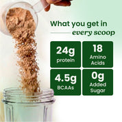 Plant Protein