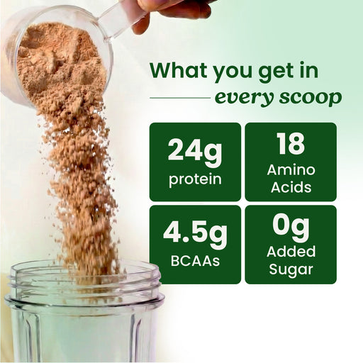 Plant Protein