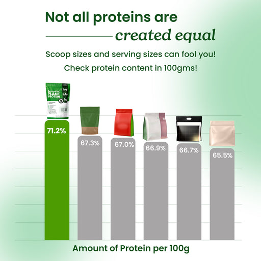 Plant Protein